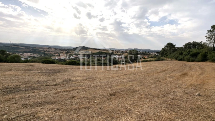 Terreno Agricola ou Rústico para Venda em Milharado Foto 10