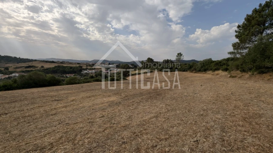Terreno Agricola ou Rústico para Venda em Milharado Foto 13