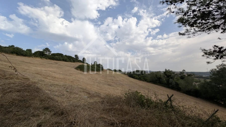 Terreno Agricola ou Rústico para Venda em Milharado Foto 14