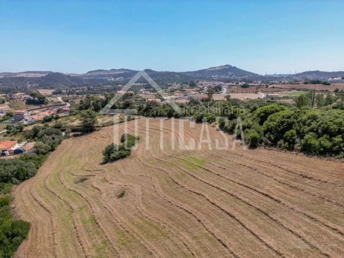 Terreno Agricola ou Rústico para Venda em Milharado Foto 6