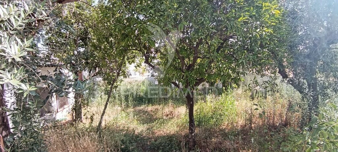 Moradia T3 para Venda em Esperança Foto 16