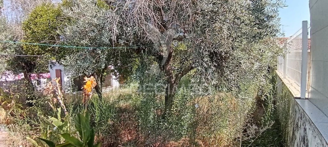 Moradia T3 para Venda em Esperança Foto 17