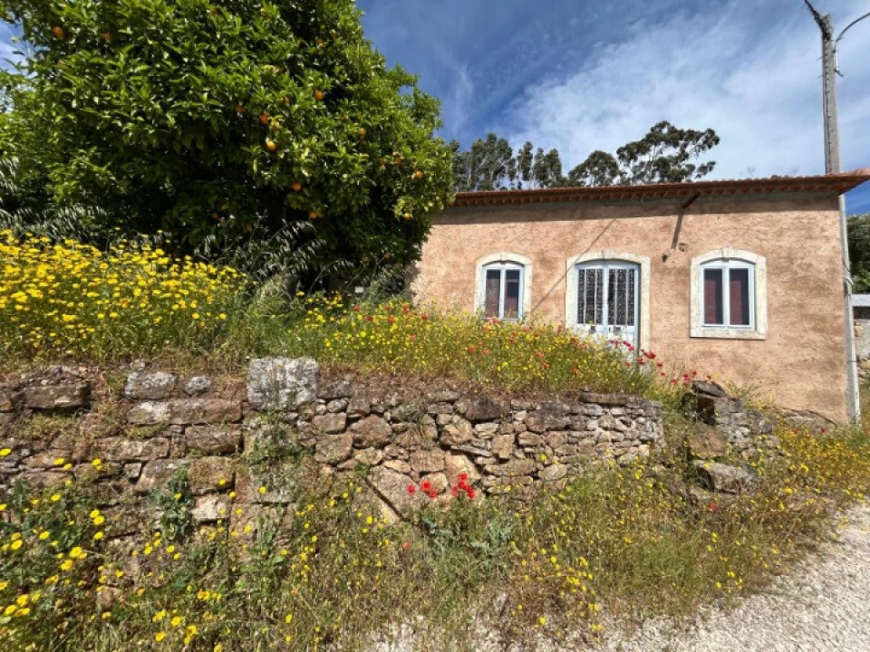 Moradia T3 para Venda em Nossa Senhora do Pranto Foto 3