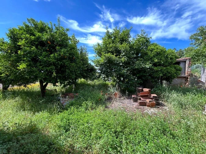 Moradia T3 para Venda em Nossa Senhora do Pranto Foto 7