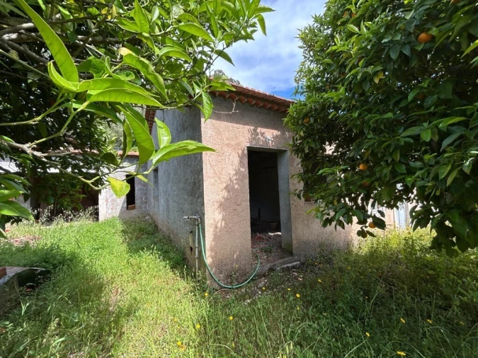 Moradia T3 para Venda em Nossa Senhora do Pranto Foto 8