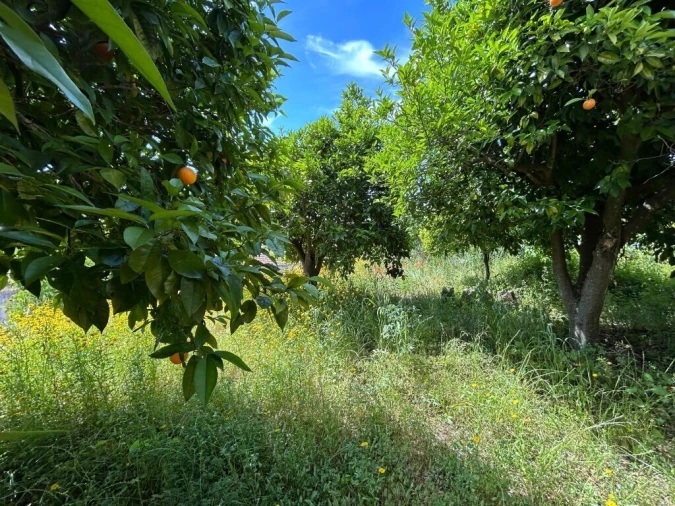 Moradia T3 para Venda em Nossa Senhora do Pranto Foto 6