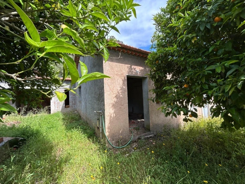 Moradia T3 para Venda em Nossa Senhora do Pranto Foto 8