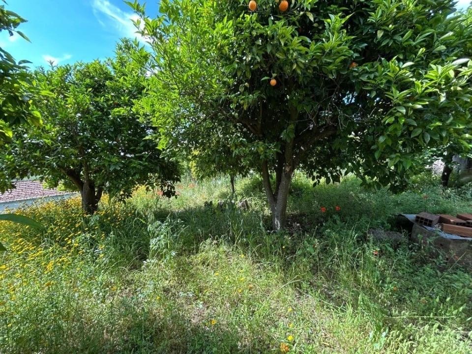 Moradia T3 para Venda em Nossa Senhora do Pranto Foto 5