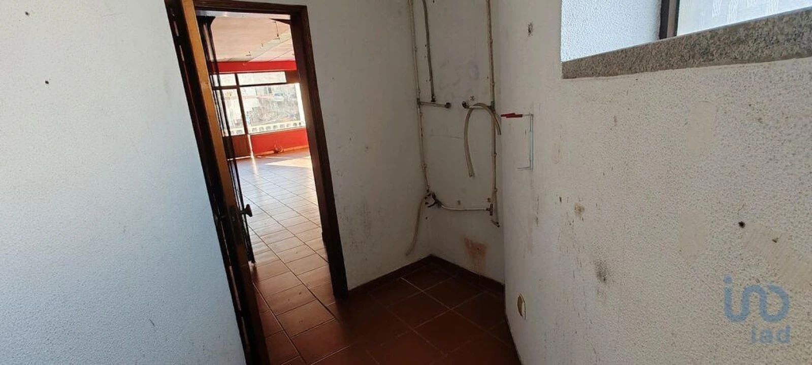 Loja para Arrendamento em Proença-A-Nova e Peral Foto 13