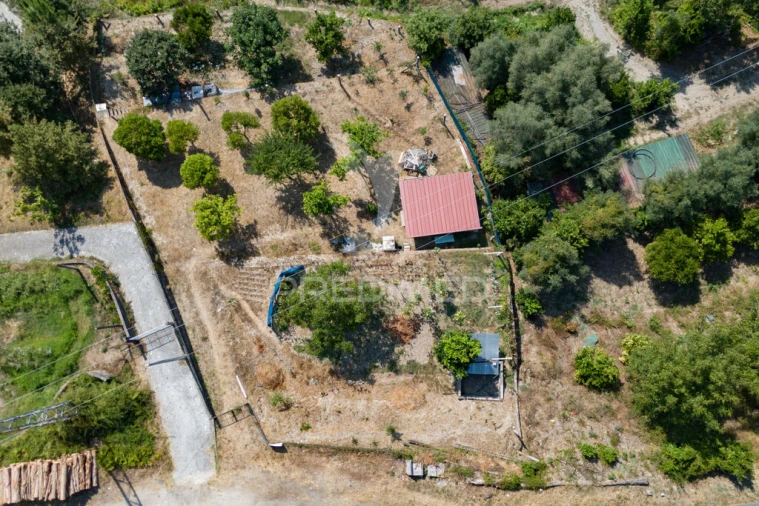 Terreno para Venda em Goães Foto 4