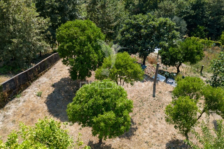 Terreno para Venda em Goães Foto 15