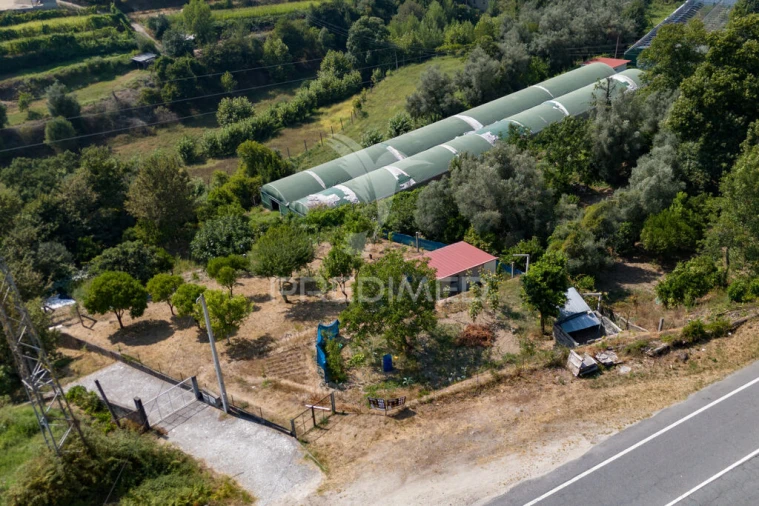 Terreno para Venda em Goães Foto 2