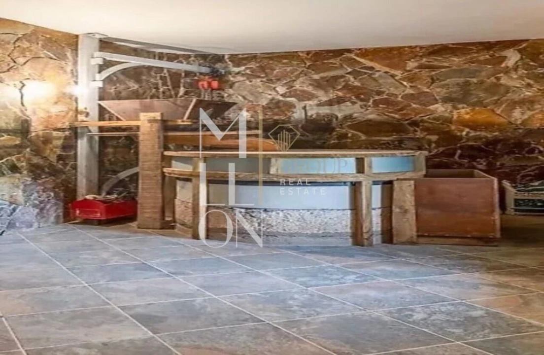 Quinta T3 para Venda em Paderne Foto 5