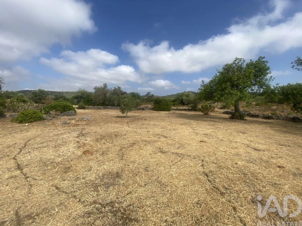 Terreno para Venda em São Brás de Alportel Foto 1