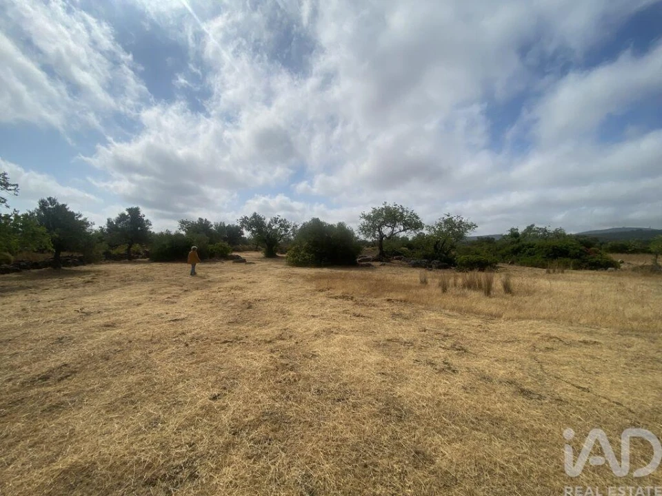 Terreno para Venda em São Brás de Alportel Foto 16
