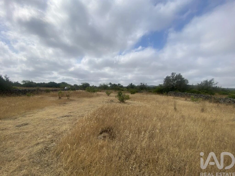 Terreno para Venda em São Brás de Alportel Foto 19