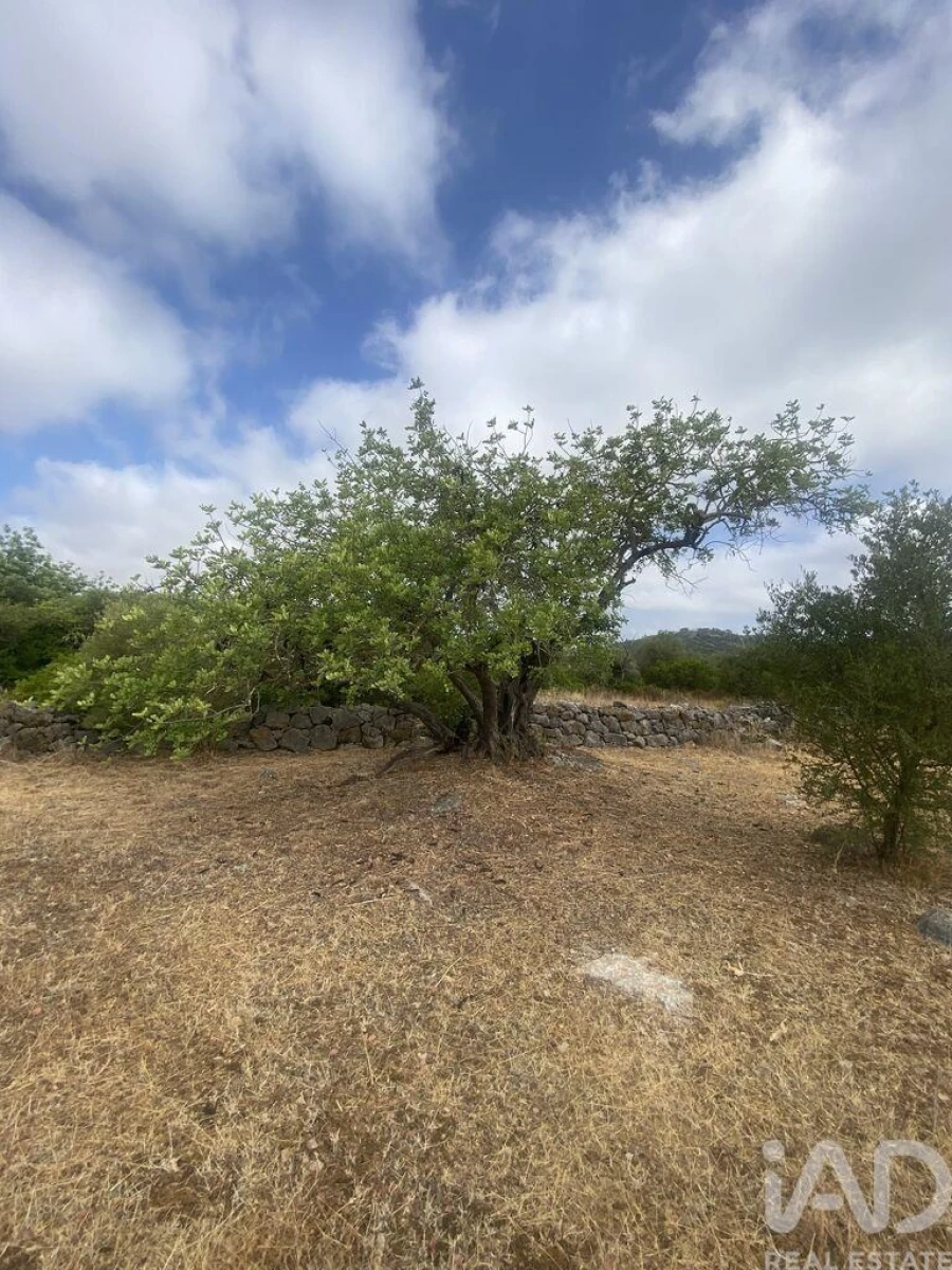 Terreno para Venda em São Brás de Alportel Foto 26