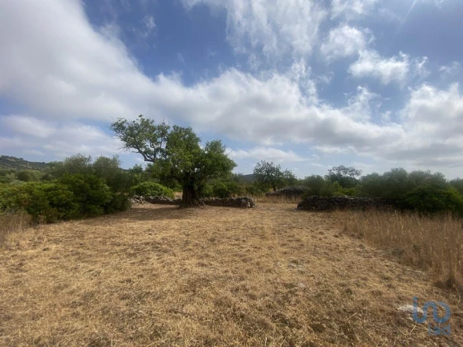 Terreno para Venda em São Brás de Alportel Foto 10