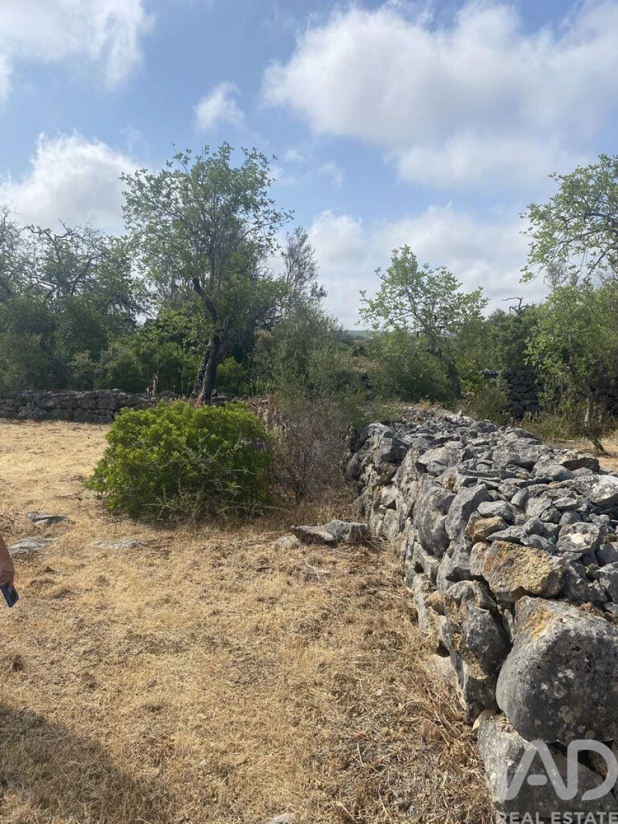 Terreno para Venda em São Brás de Alportel Foto 17