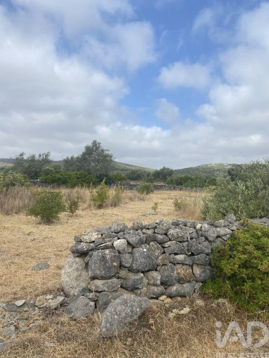 Terreno para Venda em São Brás de Alportel Foto 24