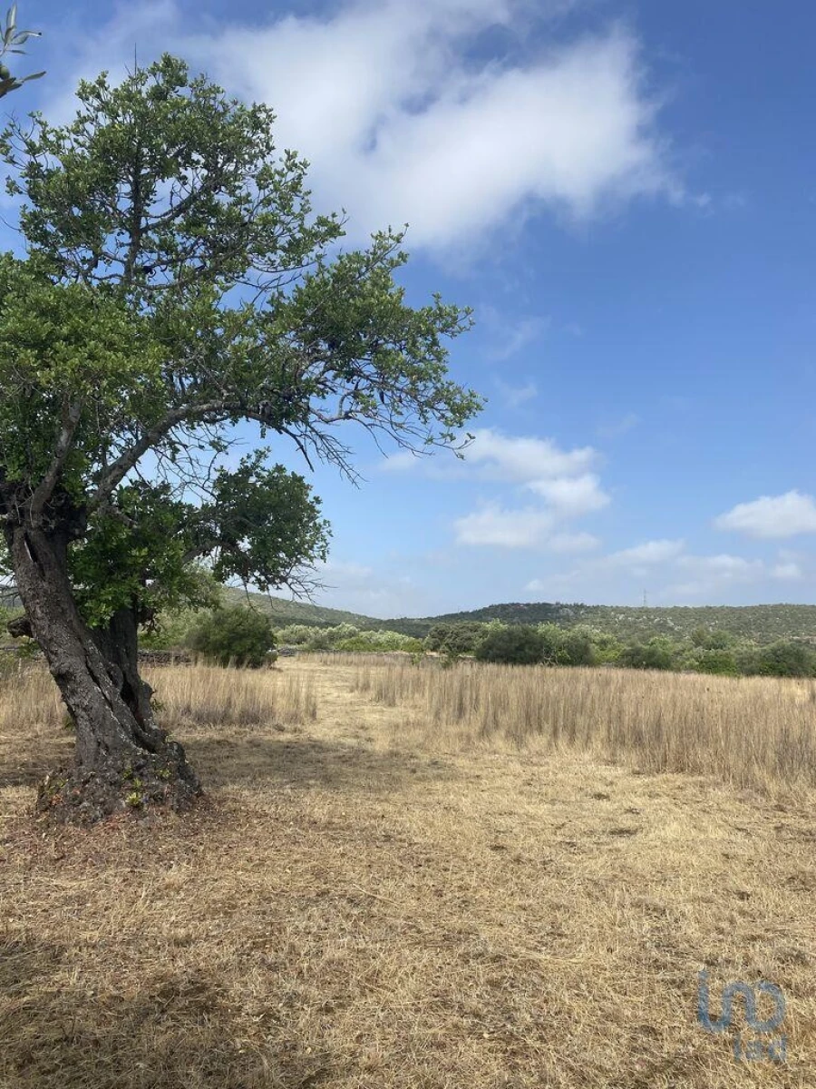 Terreno para Venda em São Brás de Alportel Foto 13