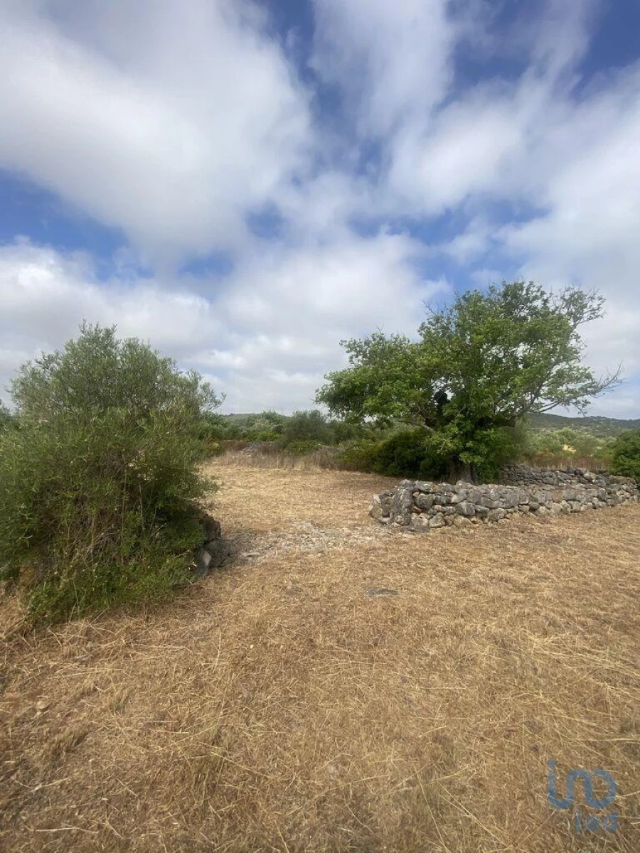 Terreno para Venda em São Brás de Alportel Foto 9