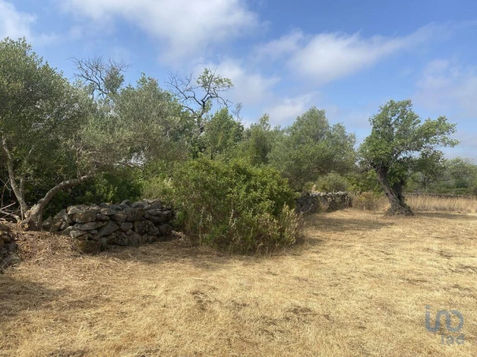 Terreno para Venda em São Brás de Alportel Foto 14