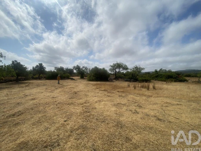 Terreno para Venda em São Brás de Alportel Foto 15
