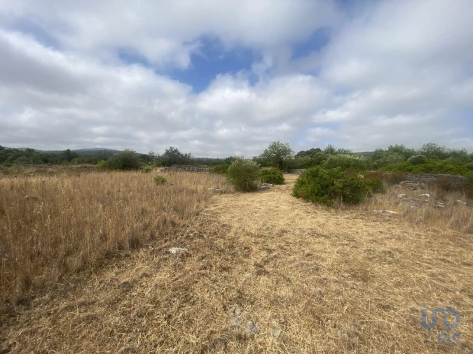 Terreno para Venda em São Brás de Alportel Foto 4