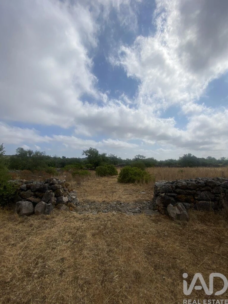 Terreno para Venda em São Brás de Alportel Foto 23