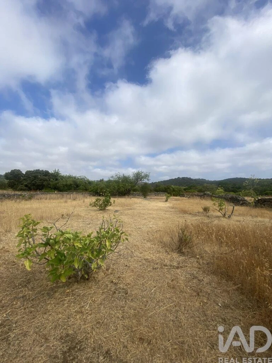 Terreno para Venda em São Brás de Alportel Foto 20