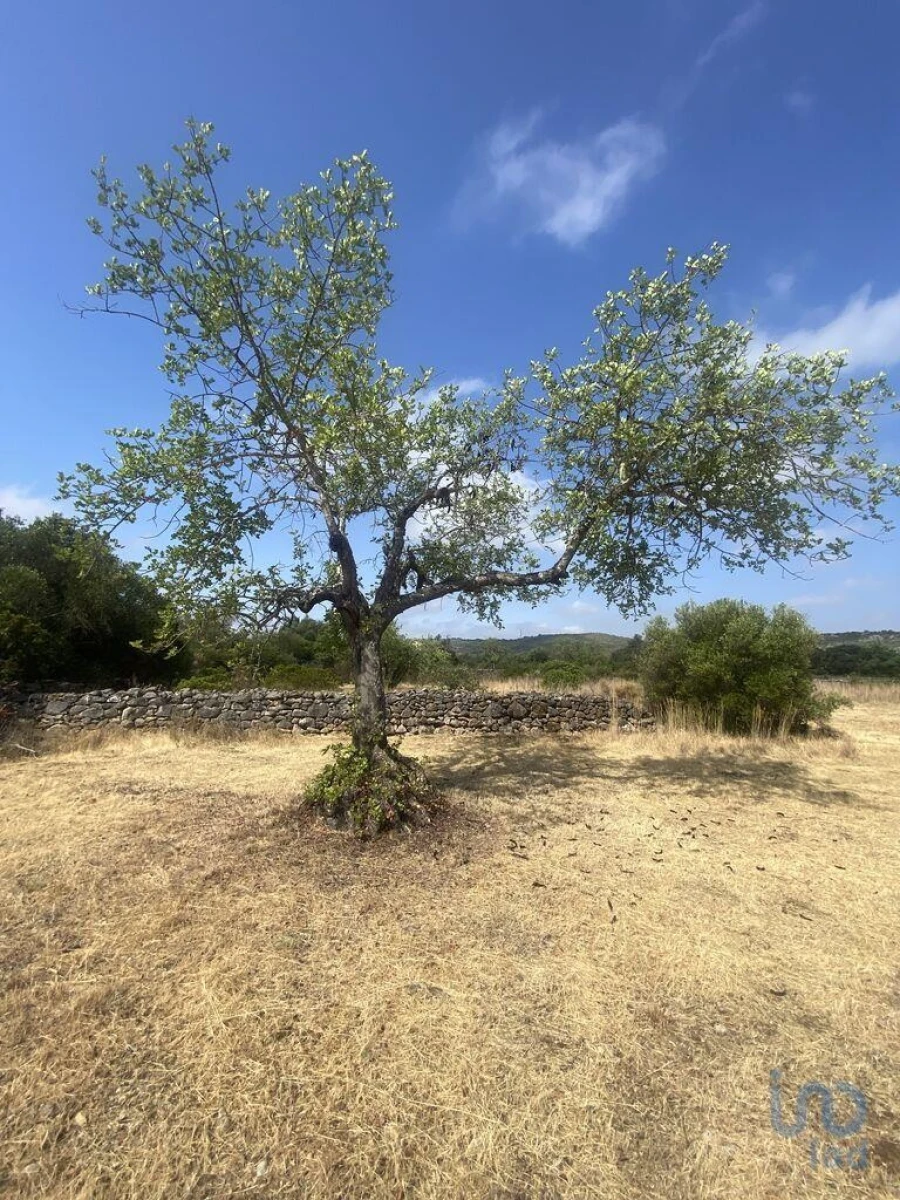 Terreno para Venda em São Brás de Alportel Foto 12