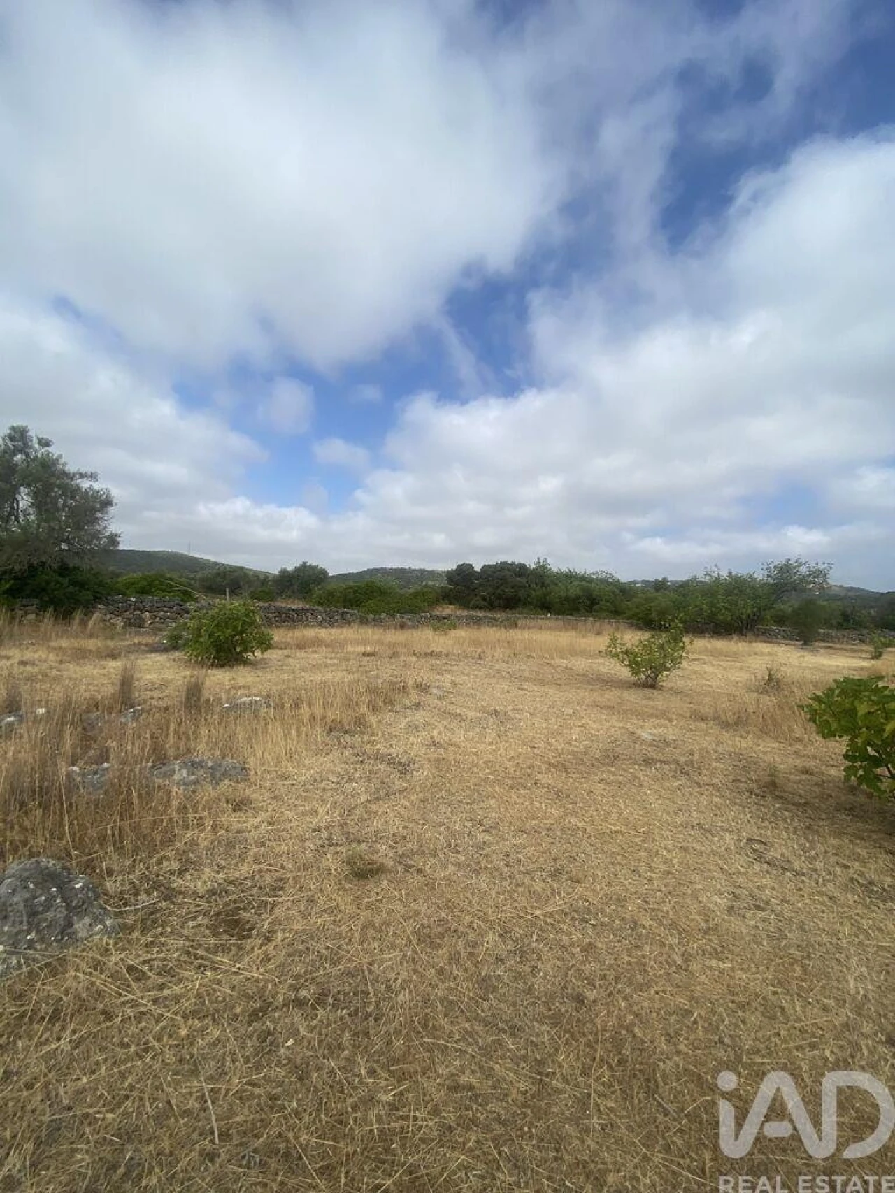Terreno para Venda em São Brás de Alportel Foto 22
