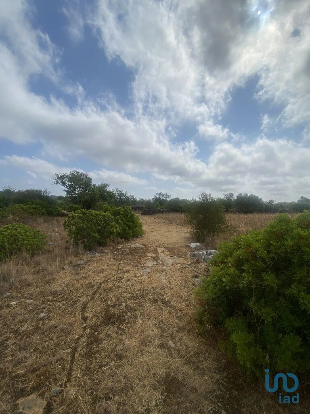 Terreno para Venda em São Brás de Alportel Foto 7