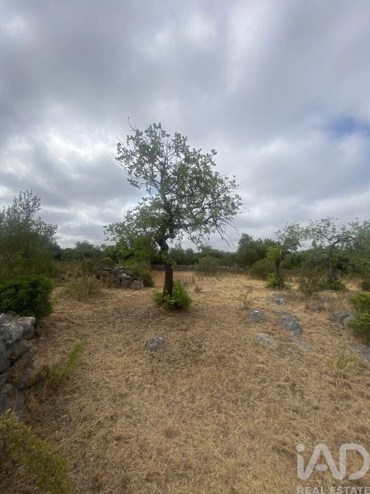 Terreno para Venda em São Brás de Alportel Foto 25