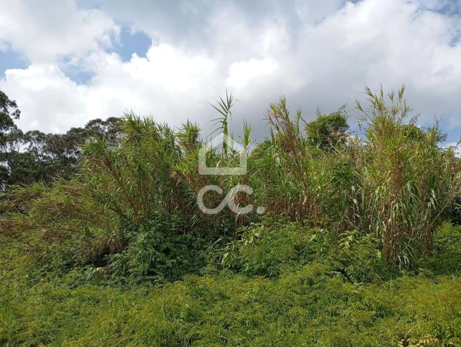 Terreno para Venda em Fonte do Bastardo Foto 12