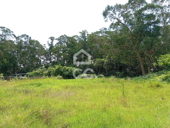 Terreno para Venda em Fonte do Bastardo Foto 3
