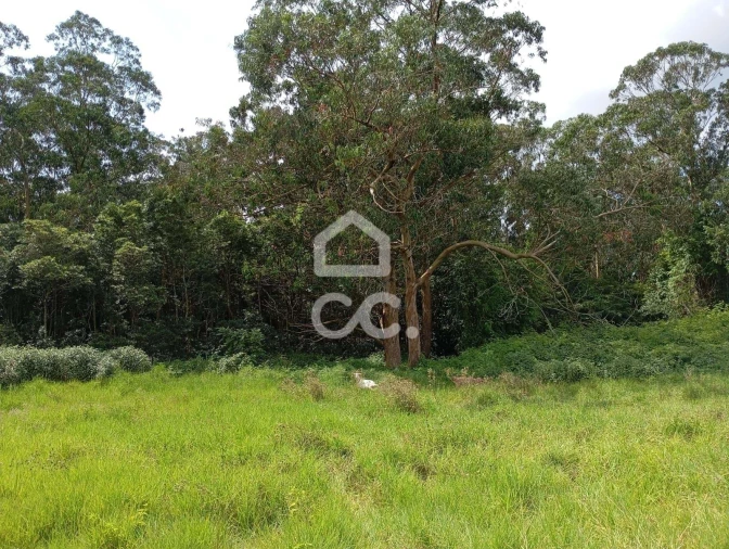 Terreno para Venda em Fonte do Bastardo Foto 9