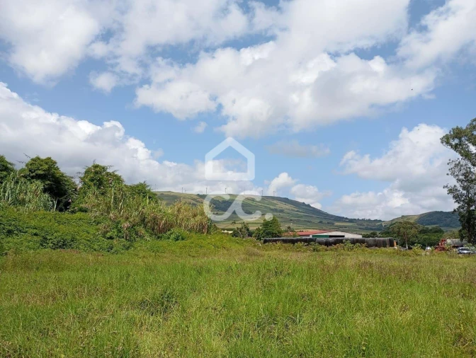 Terreno para Venda em Fonte do Bastardo Foto 7