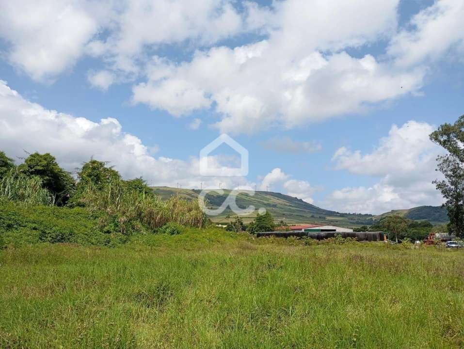 Terreno para Venda em Fonte do Bastardo Foto 7