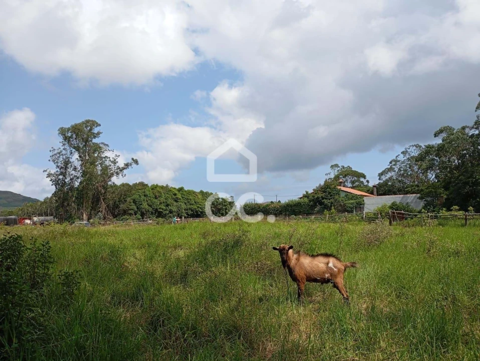 Terreno para Venda em Fonte do Bastardo Foto 4
