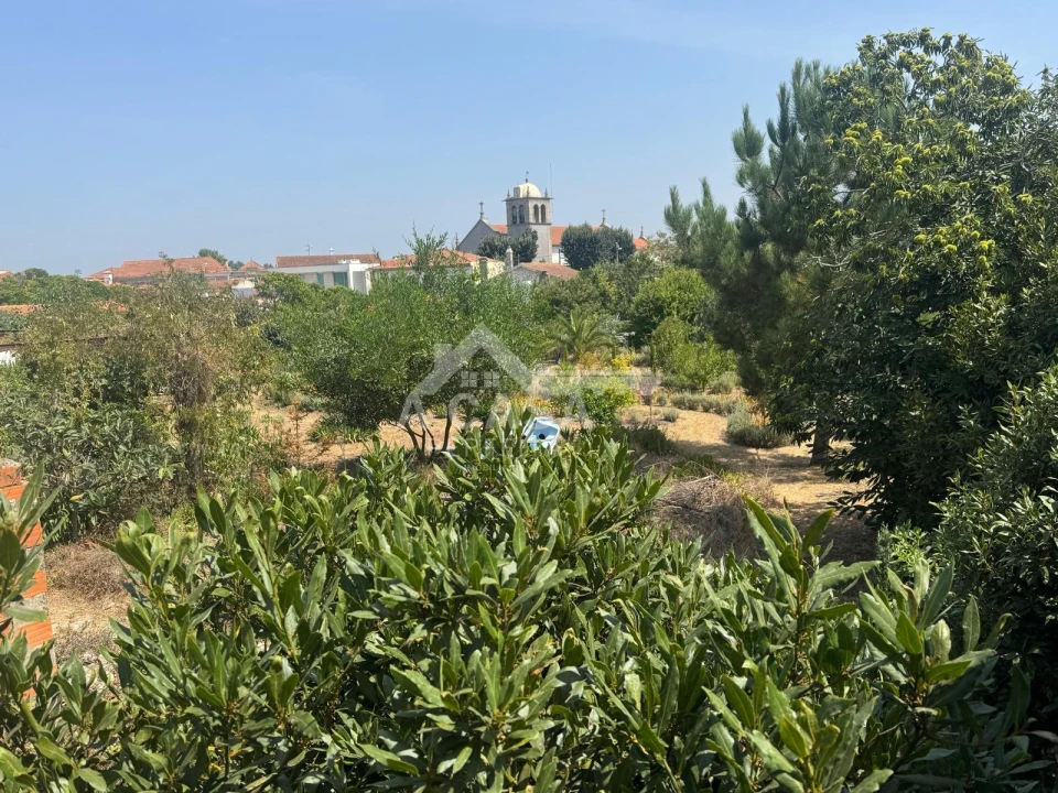 Terreno para Venda em Beduído e Veiros Foto 2