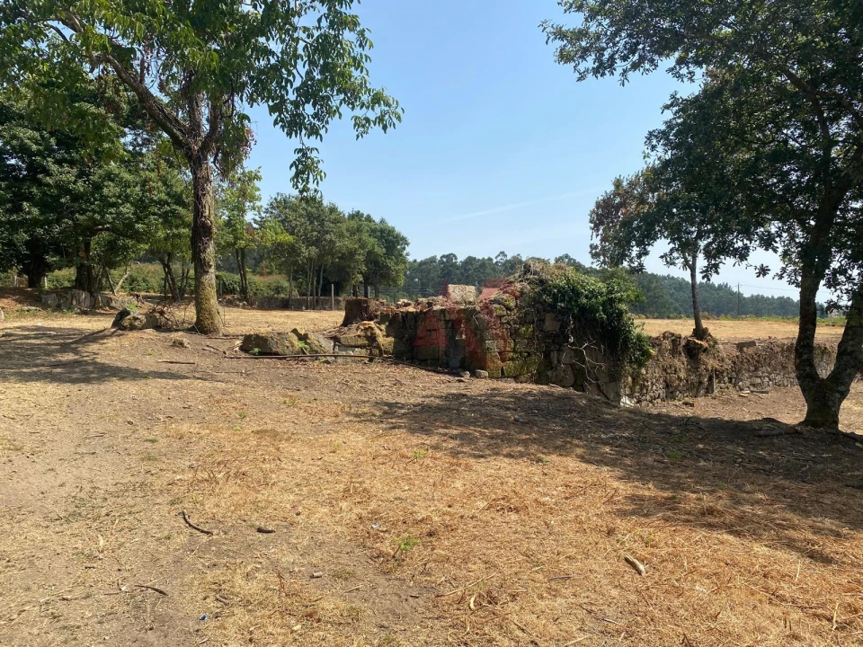 Quinta T10 para Venda em Raimonda Foto 10