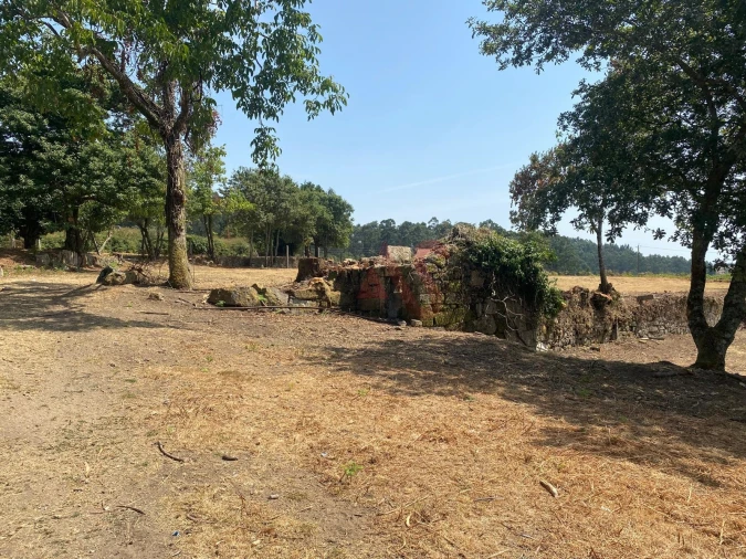 Quinta T10 para Venda em Raimonda Foto 10