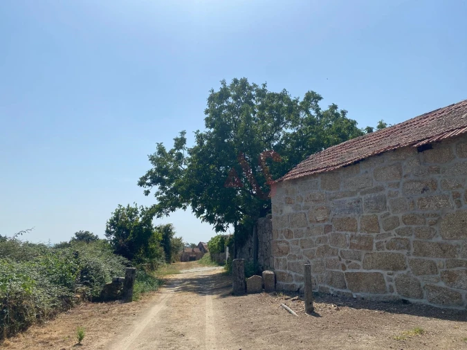 Quinta T10 para Venda em Raimonda Foto 30