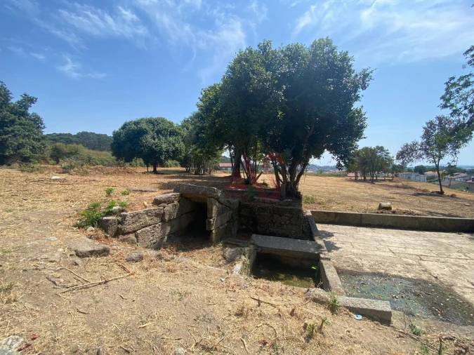 Quinta T10 para Venda em Raimonda Foto 15