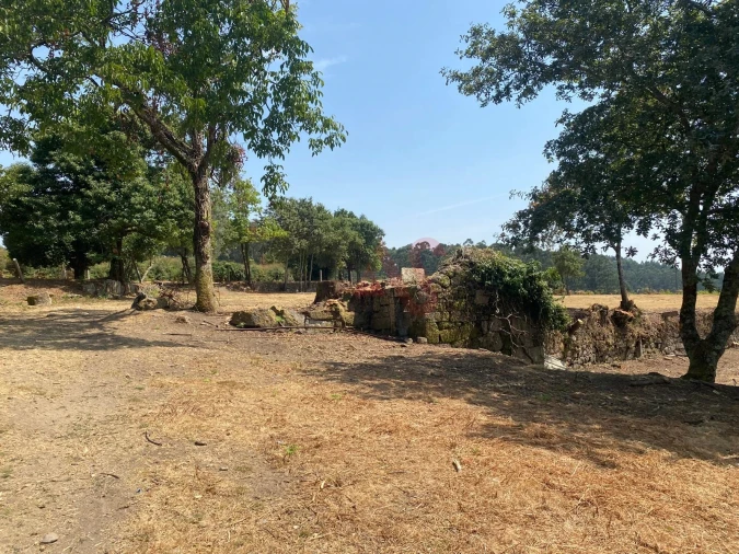 Quinta T10 para Venda em Raimonda Foto 4