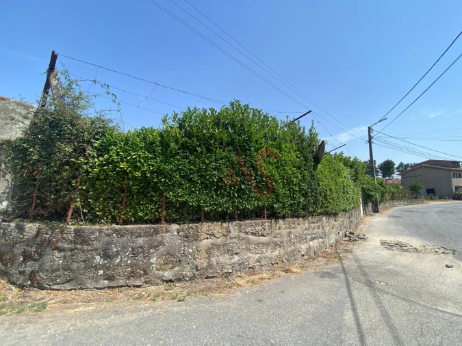 Quinta T10 para Venda em Raimonda Foto 31