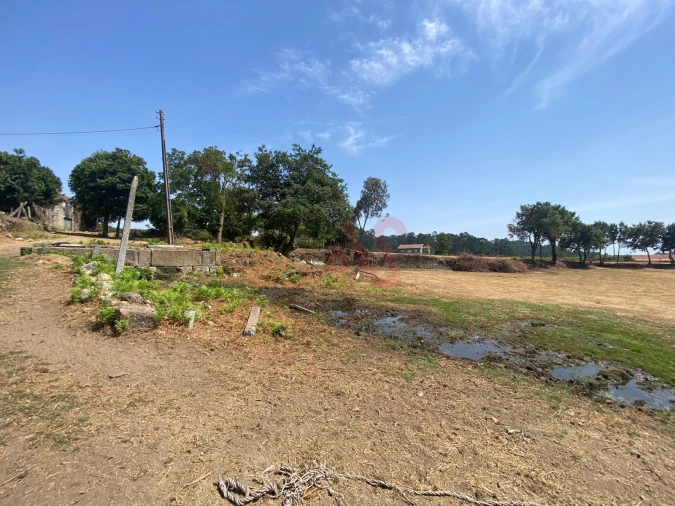 Quinta T10 para Venda em Raimonda Foto 8