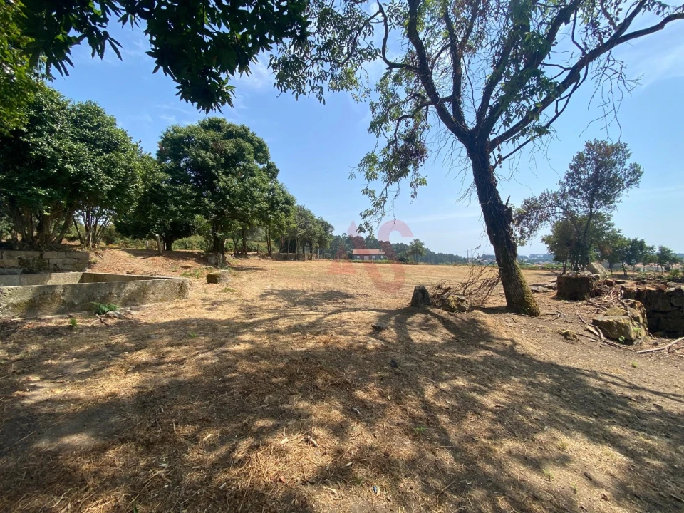 Quinta T10 para Venda em Raimonda Foto 9